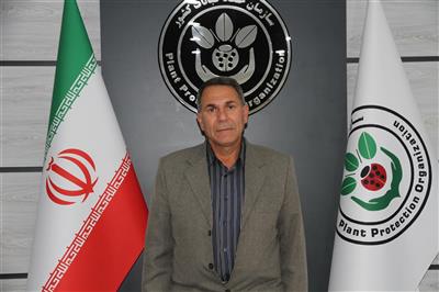نیاز فوری به ۱۲۰ میلیارد ریال برای سمپاشی مزارع غلات خراسان‌شمالی