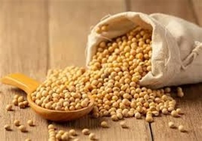 اعلام ضوابط جدید قرنطینه‌ای برای واردات دانه سویا از افغانستان ؛ كنترل دقیق در مرحله ترخیص