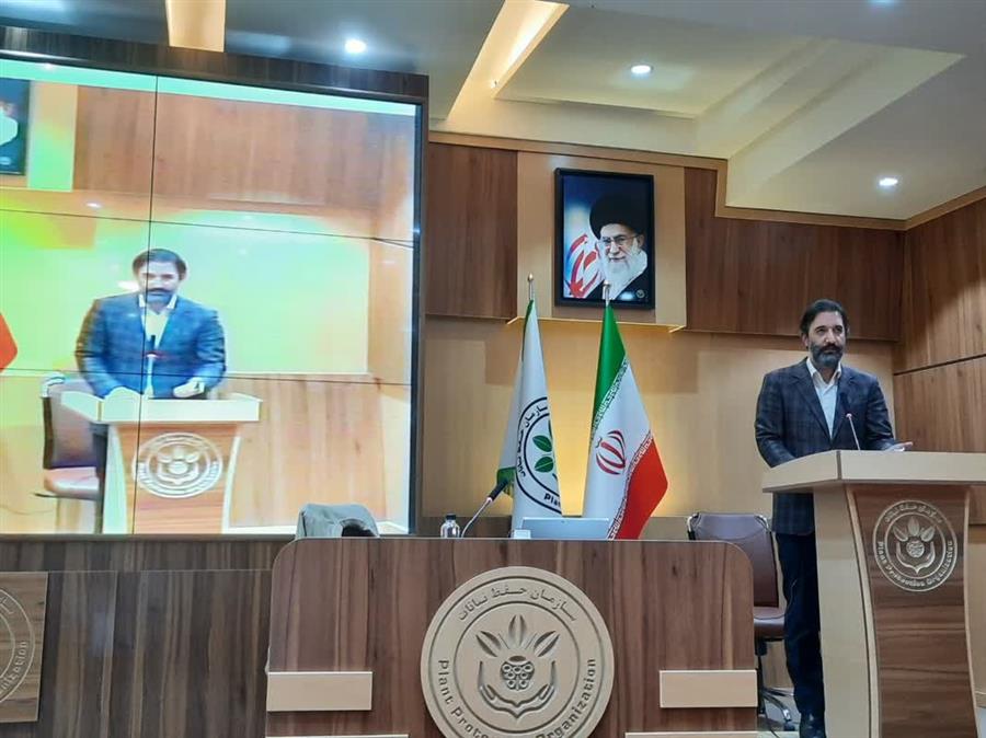 گزارش تصویری به بهانه روز جهانی بدون سم