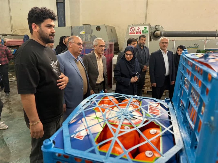 توسعه واحدهای سورتینگ و فرآوری گامی مؤثر در ار ...