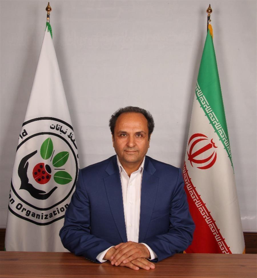 هشدار افزایش جمعیت موش‌ها در مزارع اردبیل