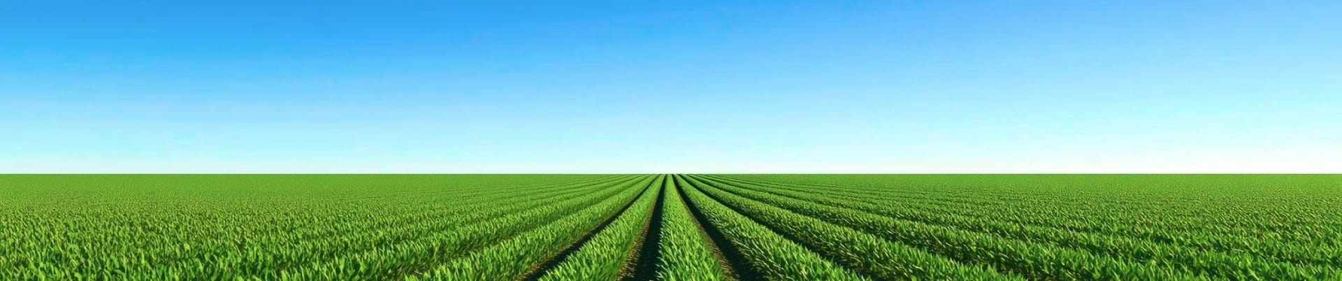 حفظ نباتات ، حفظ زندگی