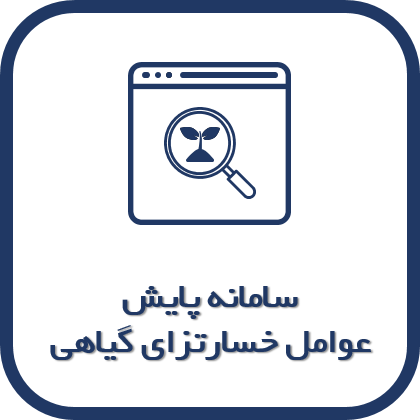 004squ.png